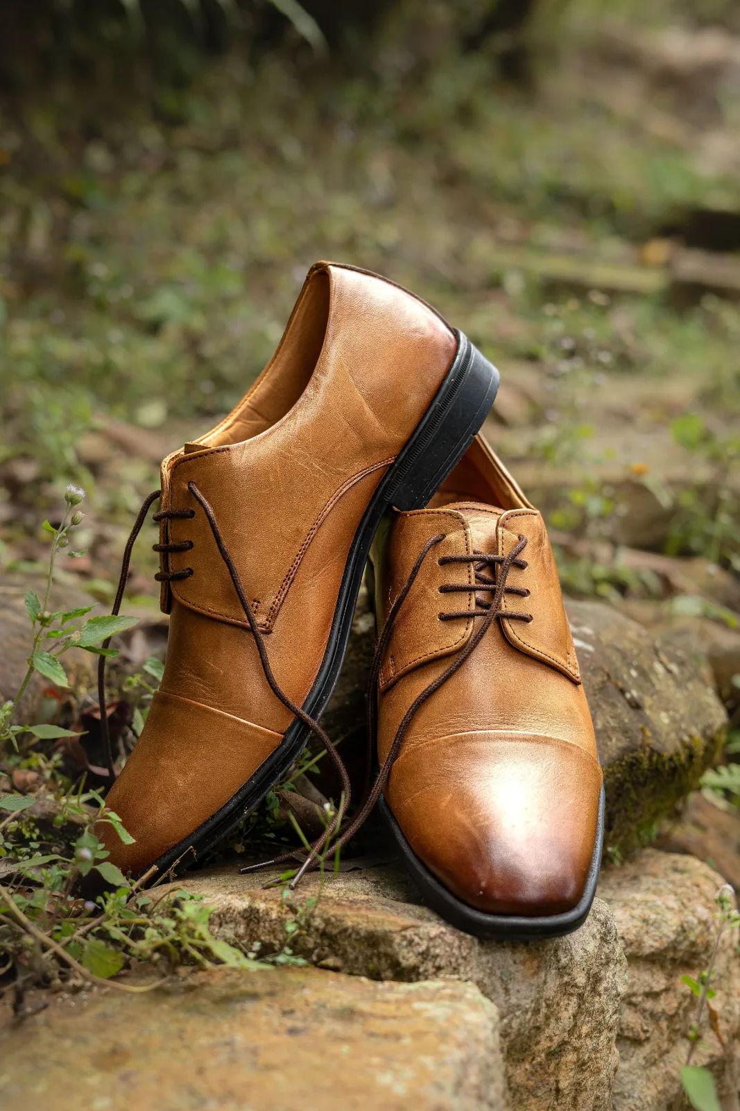 Male Shoe